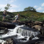 Vindelfjäll nature reserve: A walk through reindeer country - What to Expect on the Tour