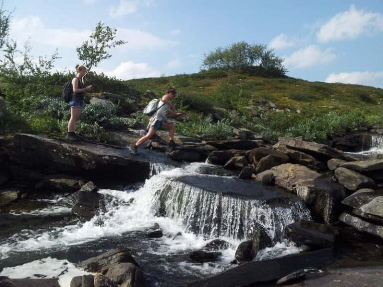 Vindelfjäll nature reserve: A walk through reindeer country - What to Expect on the Tour