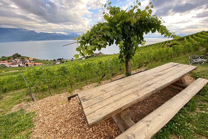Vine Stories: Lavaux & Lutry wine walk - An In-Depth Look at the Lavaux & Lutry Wine Walk
