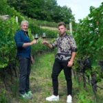 vineyard experience - Who Will Appreciate This Tour?