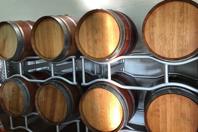 Vineyard experience in Pozzuoli - Practical Considerations