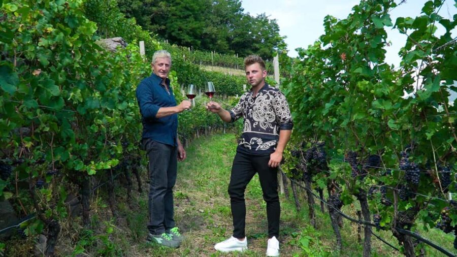 vineyard experience - Who Will Appreciate This Tour?