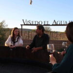 VINEYARD TOUR - Why This Tour Offers Great Value
