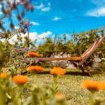 Vineyard Tour and Wine Tasting - A Closer Look at the Vineyard Tour and Wine Tasting Experience