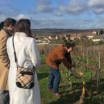 Vineyard tour & Tasting of all our lineup - Exploring the Vineyard Tour & Tasting Experience in Detail