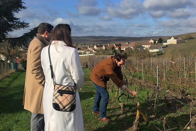 Vineyard tour & Tasting of all our lineup - Exploring the Vineyard Tour & Tasting Experience in Detail