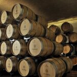 Vineyard Tour with Light Lunch in Valpolicella - Exploring the Vineyards and Cellars