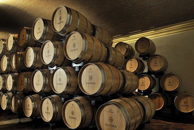 Vineyard Tour with Light Lunch in Valpolicella - Exploring the Vineyards and Cellars