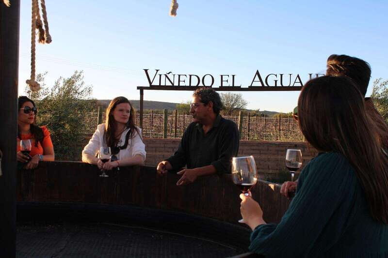 VINEYARD TOUR - Why This Tour Offers Great Value