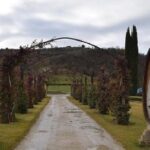 Vineyards tour with Electric Jeep with wine tasting - What Makes This Tour Stand Out