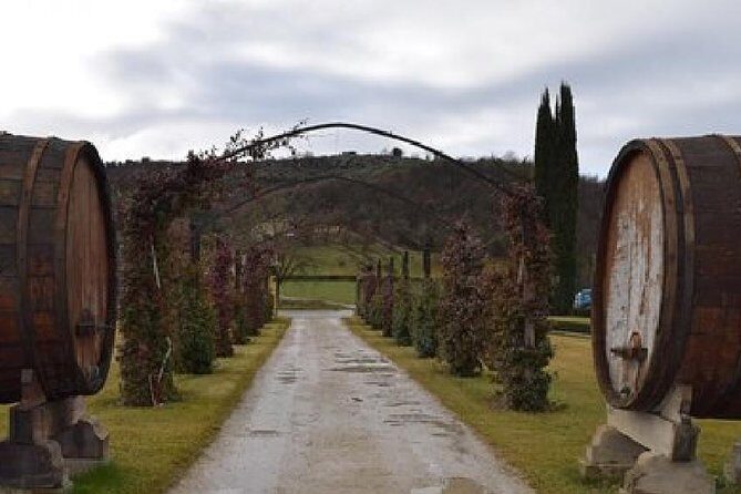 Vineyards tour with Electric Jeep with wine tasting - What Makes This Tour Stand Out