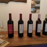 vingrau : wine tasting - An In-Depth Look at the Vingrau Wine Tasting Experience