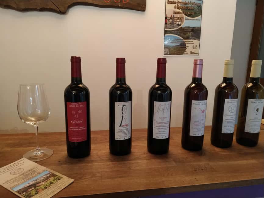 vingrau : wine tasting - An In-Depth Look at the Vingrau Wine Tasting Experience