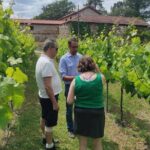 Vinho Verde 2 Wineries + Cultural Guimarães - Private/from Porto - Frequently Asked Questions