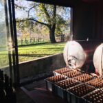 Vinho Verde 2 Wineries + Guimarães - from Porto - Who This Tour Is Best For