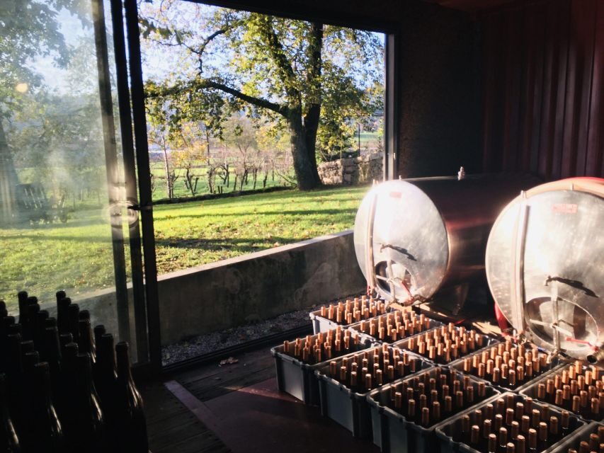 Vinho Verde 2 Wineries + Guimarães - from Porto - Who This Tour Is Best For