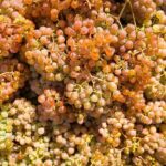 Vinho Verde Experience with 2 Wineries and Lunch - Who Should Consider This Tour?