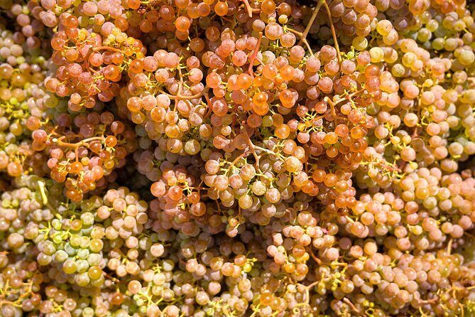 Vinho Verde Experience with 2 Wineries and Lunch - Who Should Consider This Tour?