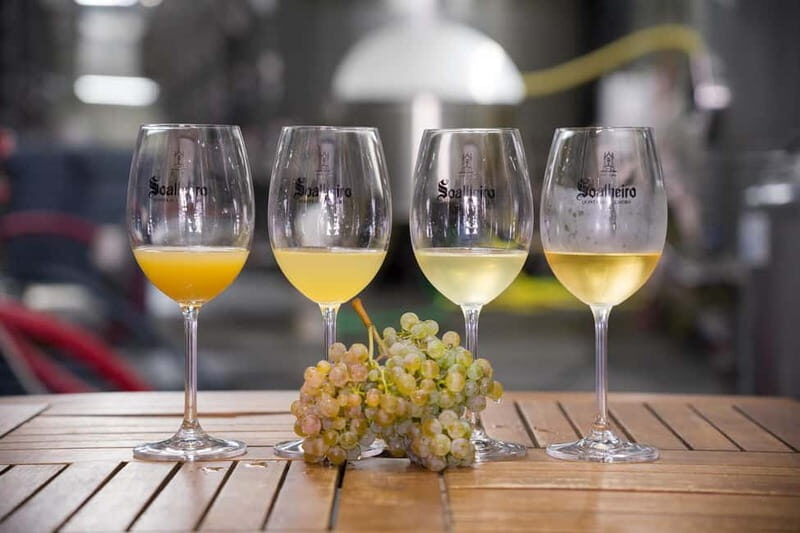 Vinho Verde: Private Wine Tasting w/ Tapas & Fortress Visit - Who Is This Tour Best For?