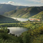 Vinho Verde: Visit 3 Wineries with wine tastings and Lunch - A Closer Look at the Vinho Verde Tour Experience