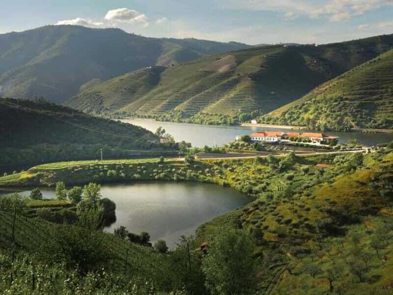 Vinho Verde: Visit 3 Wineries with wine tastings and Lunch - A Closer Look at the Vinho Verde Tour Experience