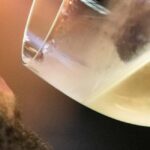 Vinho Verde - Wine Tasting with Transportation - An Authentic Dive into Portugal’s Vinho Verde Region