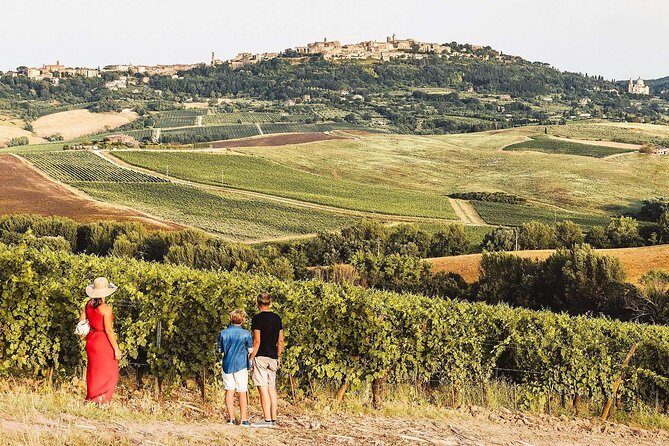 Vino Nobile di Montepulciano Wine Tour - Meet the producers - What’s Included and How It Works