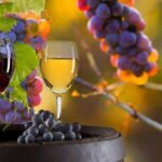 Vinyard Tour By Horse & Carriage With Delicious Tasting - Umbria - Why This Tour Is a Good Value