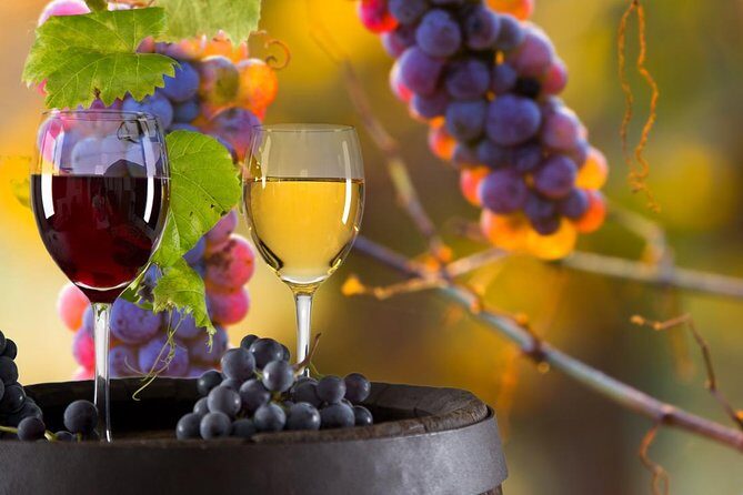 Vinyard Tour By Horse & Carriage With Delicious Tasting - Umbria - Why This Tour Is a Good Value