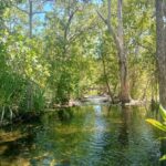 vip backpacker Litchfield - FAQs