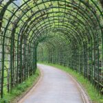 VIP Day Trip Neuschwanstein and Linderhof Castle from Munich - Why This Tour Stands Out