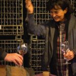 VIP Full Day Wineries Tour from Istanbul - Who Should Consider This Tour?