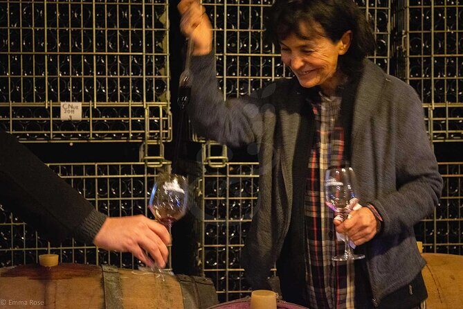 VIP Full Day Wineries Tour from Istanbul - Who Should Consider This Tour?