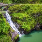 VIP Private Road to Hana Tour in Cadillac Escalade with Pickup - What Travelers Are Saying