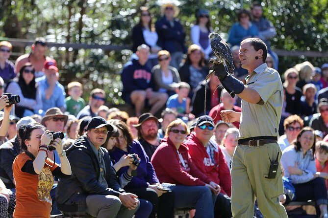 VIP Sanctuary Tour at Healesville Sanctuary - excl. entry - Authentic Encounters with Australian Wildlife