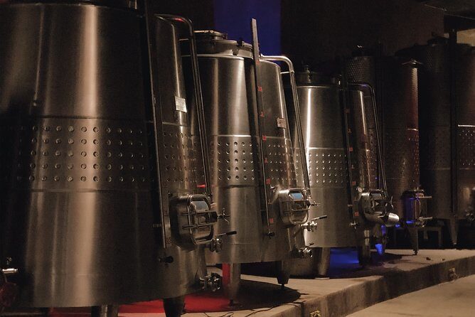 VIP Tasting - Final Thoughts: Who Will Truly Enjoy This Tour?