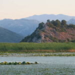 Virpazar: Amazon wilderness speed boat cruise - Who Will Love This Tour?