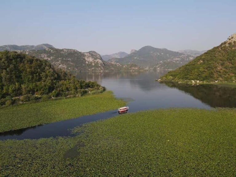 Virpazar: Skadar Lake National Park Guided Boat Tour - A Detailed Look at the Tour Experience