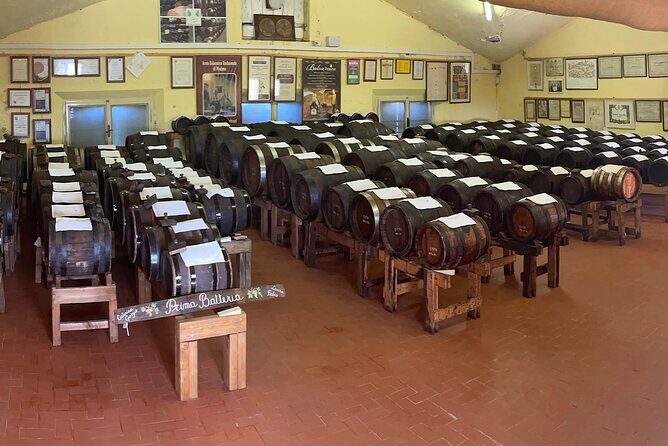 Visit and Tasting of Traditional Balsamic Vinegar of Modena - The Sum Up: Why You Should Consider This Tour