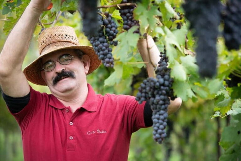 Visit and tasting with the producer - FAQs