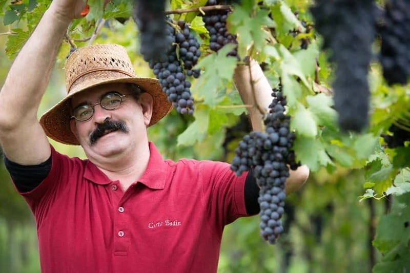 Visit and tasting with the producer - FAQs