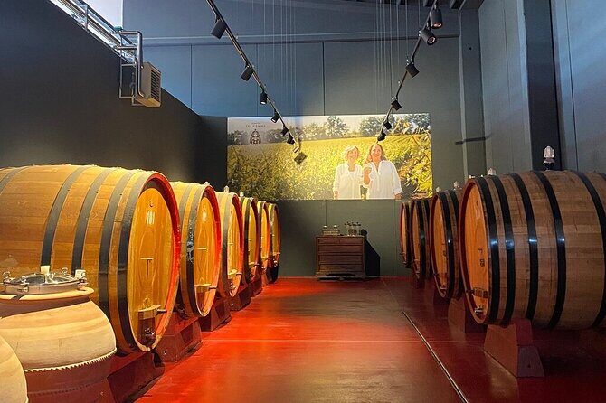 Visit and wine tasting 30 minutes from Pescara - Who Should Consider This Tour?