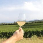 Visit and wine tasting at Tenuta La Cà - A Deep Dive into the Verona Wine Experience
