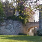 Visit and wine tasting: The Musketeers' wine - A Deep Dive into the Domaine dArton Experience