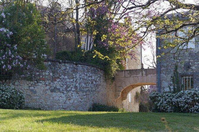 Visit and wine tasting: The Musketeers' wine - A Deep Dive into the Domaine dArton Experience