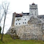 Visit Bear Sanctuary and Bran Castle from Brasov - Practical Details and Value