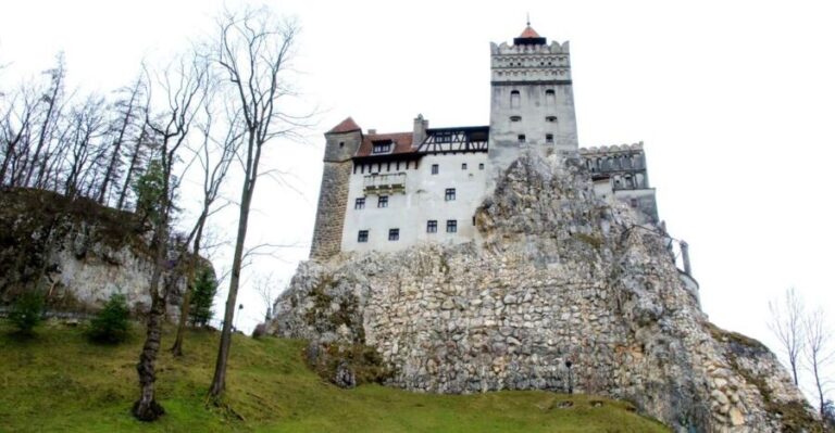 Visit Bear Sanctuary and Bran Castle from Brasov - Practical Details and Value