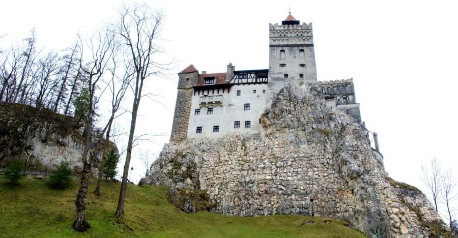 Visit Bear Sanctuary and Bran Castle from Brasov - Practical Details and Value
