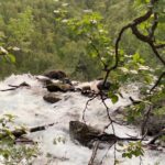 Visit Bubbelen, river comes out of the ground. - Why This Tour Is Worth Considering