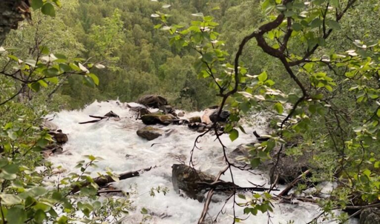 Visit Bubbelen, river comes out of the ground. - Why This Tour Is Worth Considering